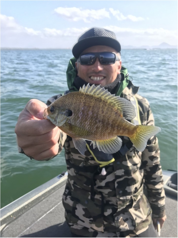 truth  ブログ写真 2019/11/19