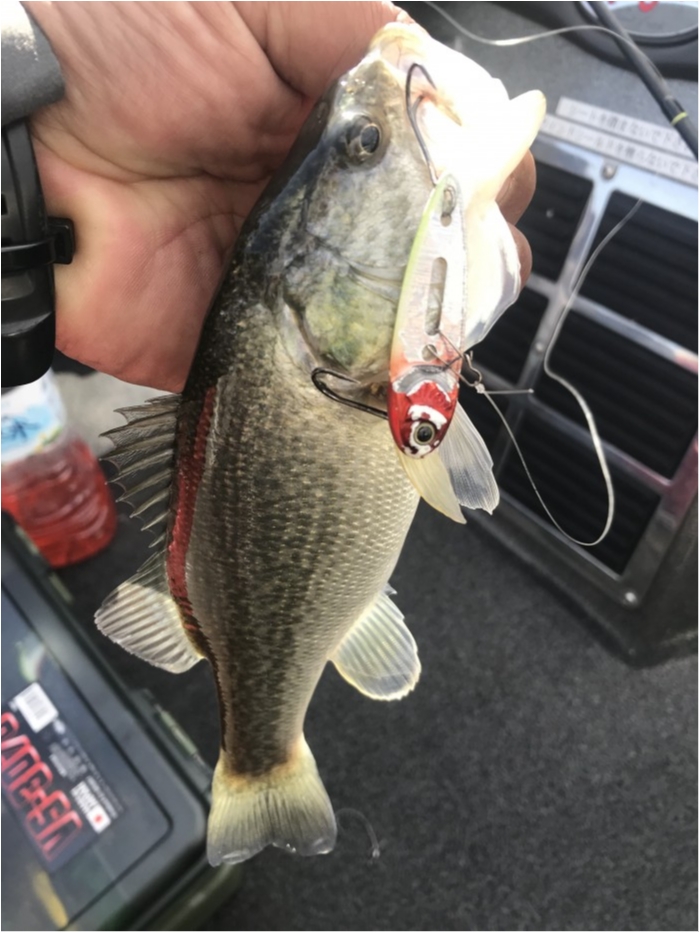 truth  ブログ写真 2019/11/19