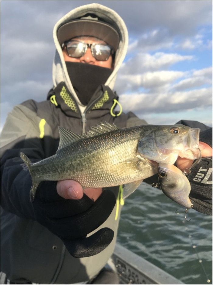 truth  ブログ写真 2019/11/19