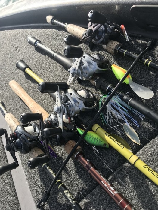 truth  ブログ写真 2019/11/20