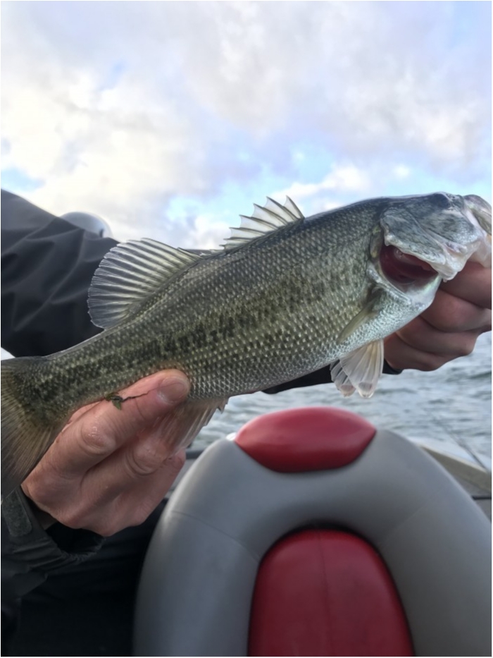 truth  ブログ写真 2019/11/20