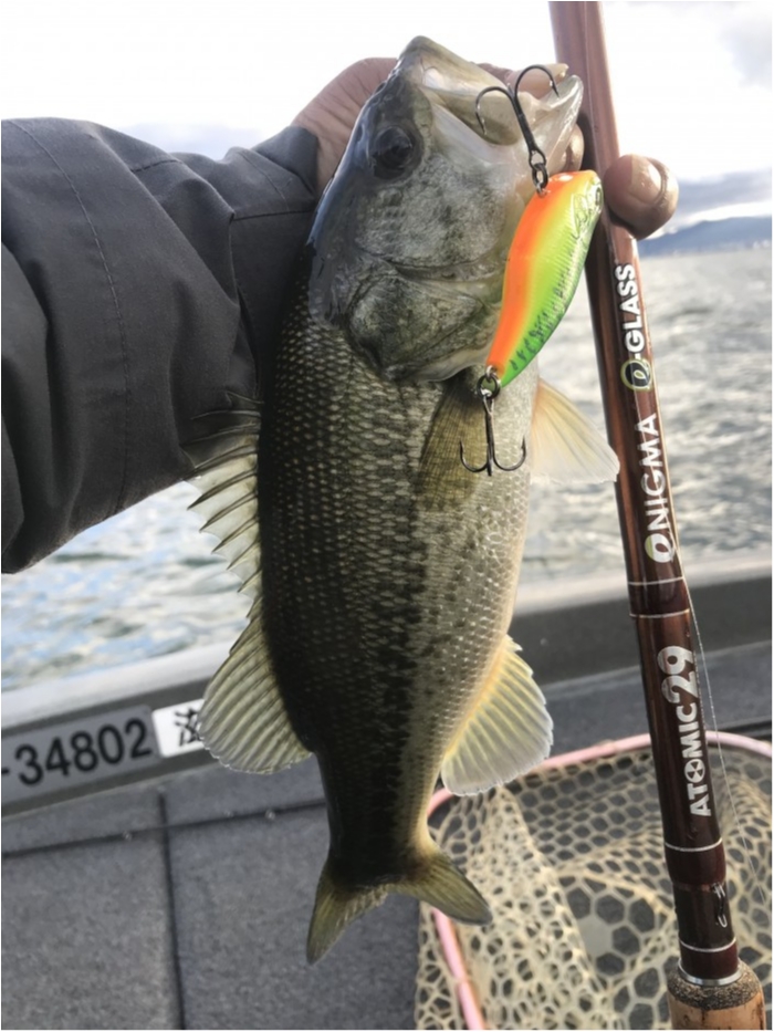 truth  ブログ写真 2019/11/20