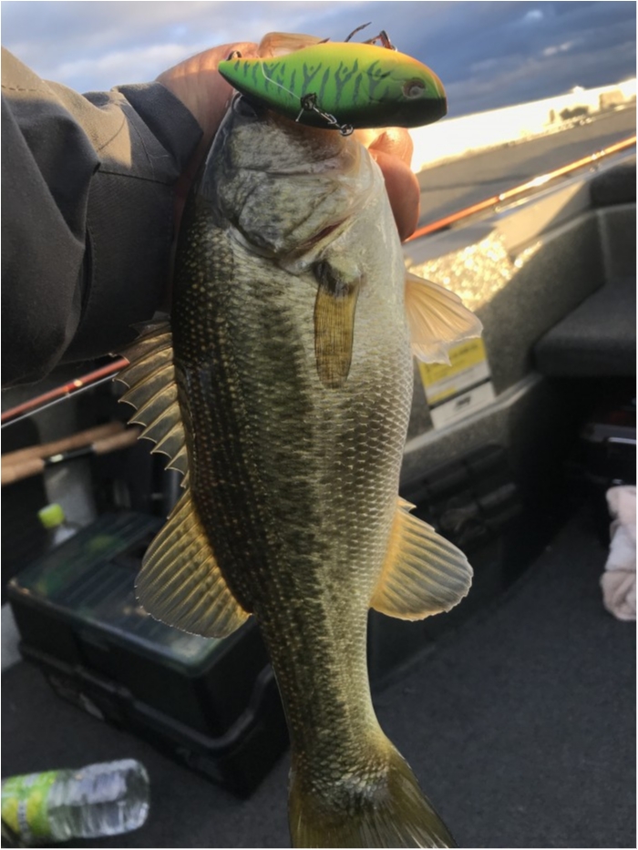 truth  ブログ写真 2019/11/20