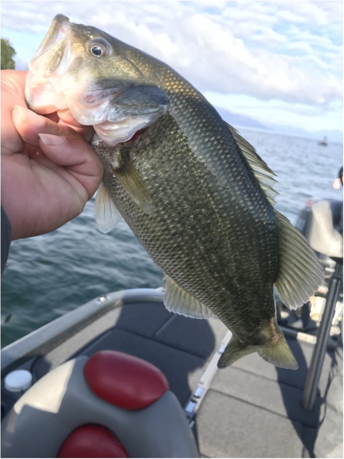 truth  ブログ写真 2019/11/21