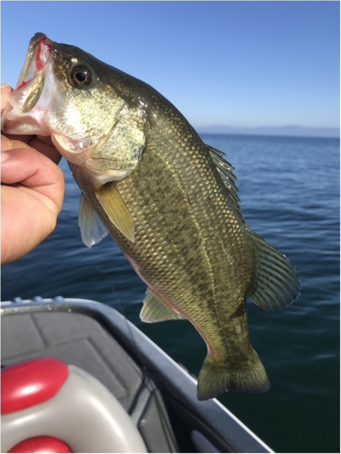 truth  ブログ写真 2019/11/21