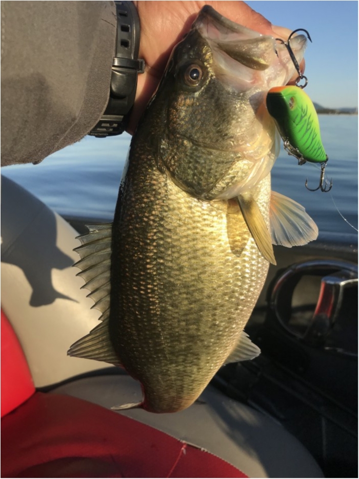 truth  ブログ写真 2019/11/21