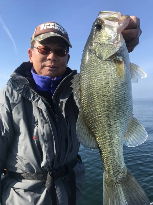 truth  ブログ写真 2019/12/10