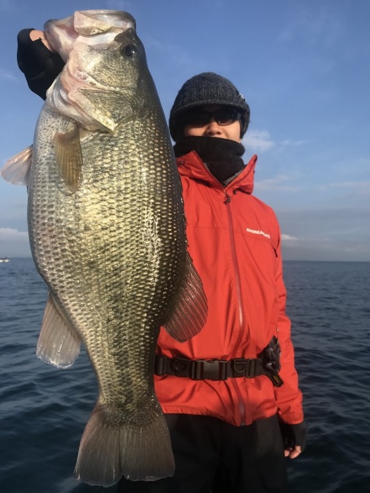 truth  ブログ写真 2019/12/14