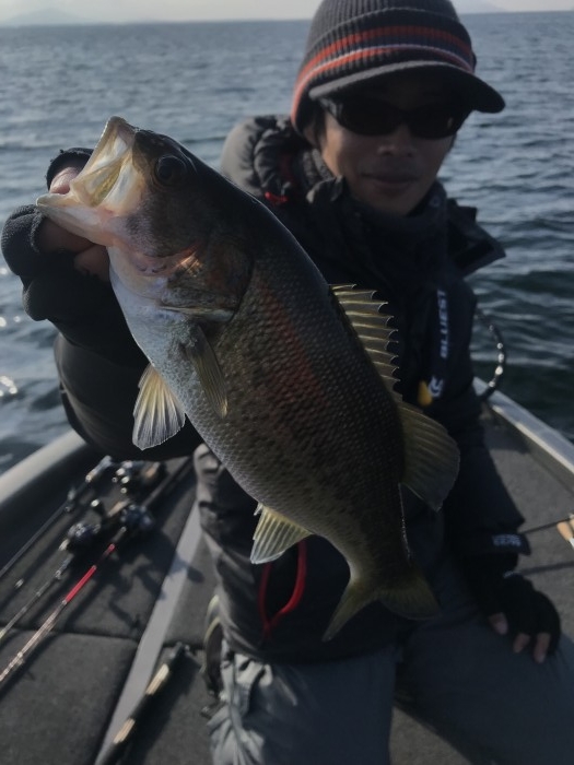 truth  ブログ写真 2019/12/14