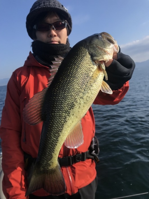 truth  ブログ写真 2019/12/14