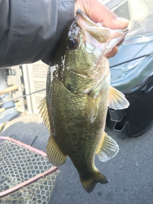 truth  ブログ写真 2019/12/14