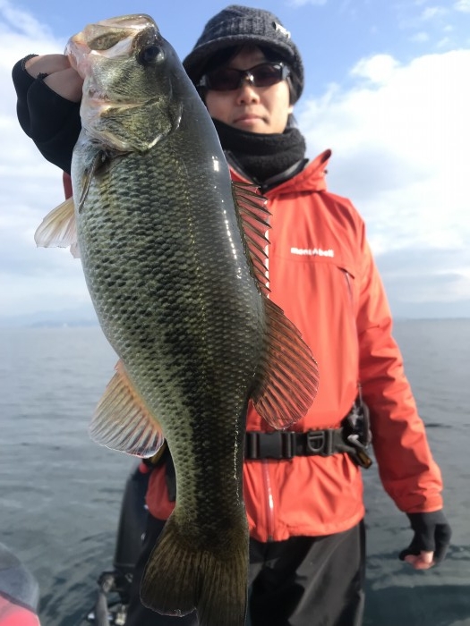 truth  ブログ写真 2019/12/14