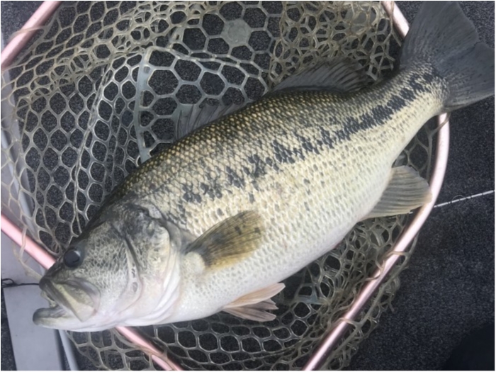 truth  ブログ写真 2019/12/17