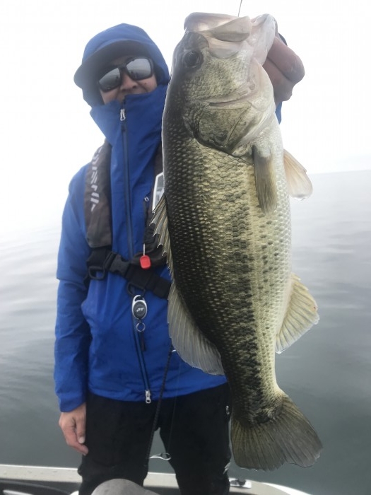 truth  ブログ写真 2019/12/17