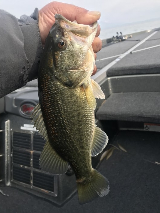 truth  ブログ写真 2019/12/21