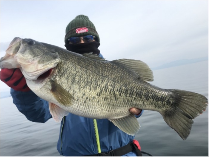 truth  ブログ写真 2019/12/21