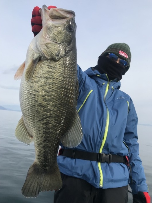 truth  ブログ写真 2019/12/21