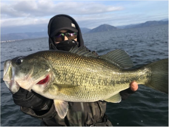 truth  ブログ写真 2019/12/24