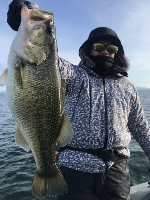 truth  ブログ写真 2019/12/24