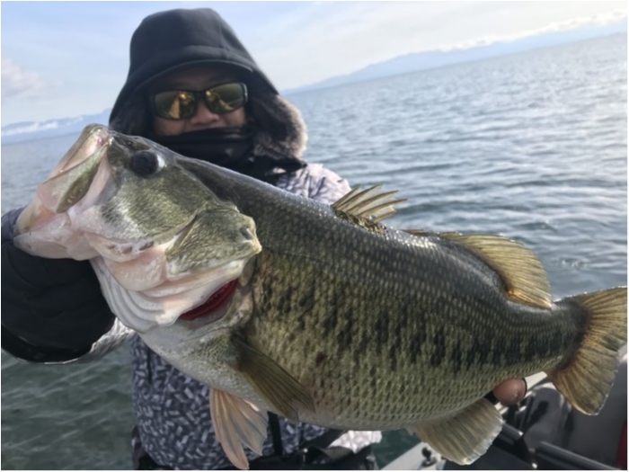 truth  ブログ写真 2019/12/24