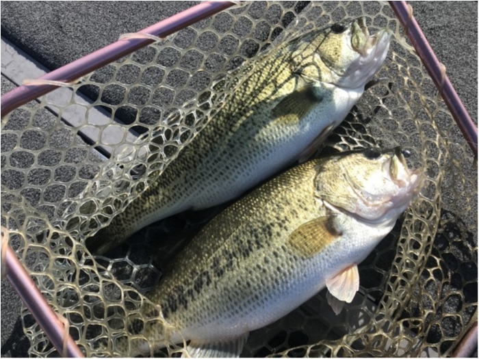 truth  ブログ写真 2019/12/25