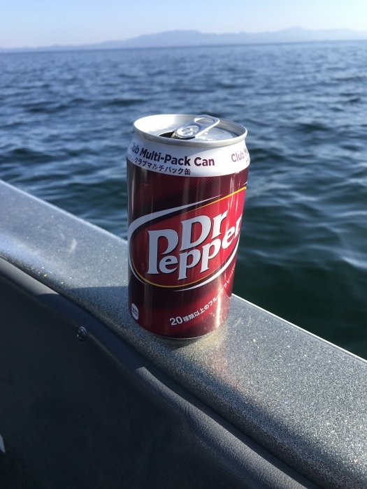 truth  ブログ写真 2019/12/25