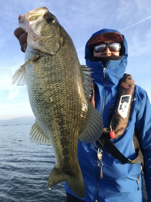 truth  ブログ写真 2019/12/25