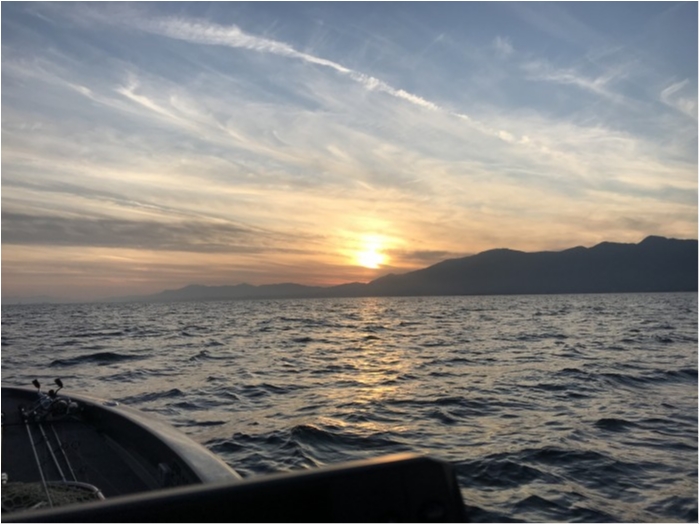 truth  ブログ写真 2019/12/25