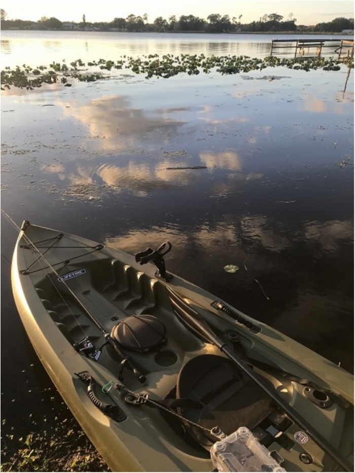 truth  ブログ写真 2020/02/12