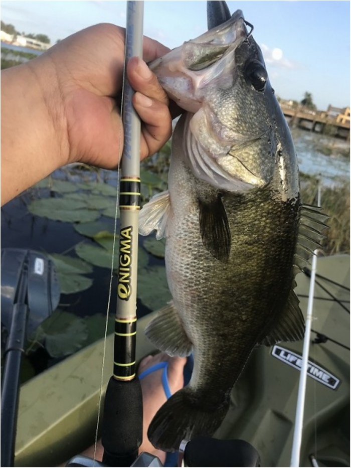 truth  ブログ写真 2020/02/12