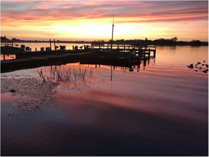 truth  ブログ写真 2020/02/12