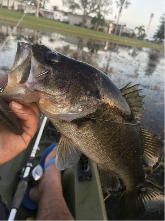 truth  ブログ写真 2020/02/12