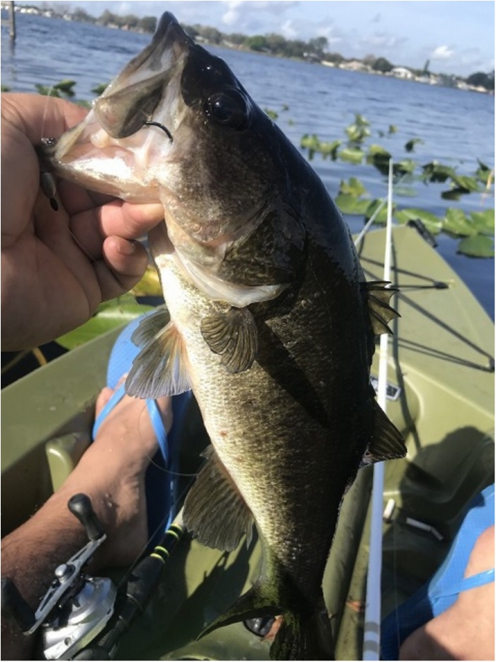 truth  ブログ写真 2020/02/12