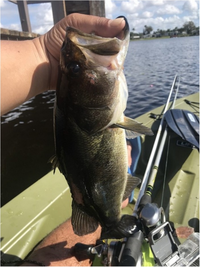 truth  ブログ写真 2020/02/12