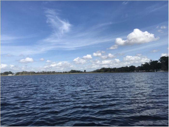 truth  ブログ写真 2020/02/12