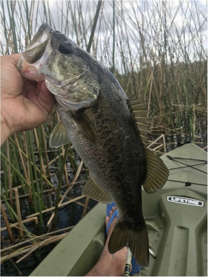 truth  ブログ写真 2020/02/12