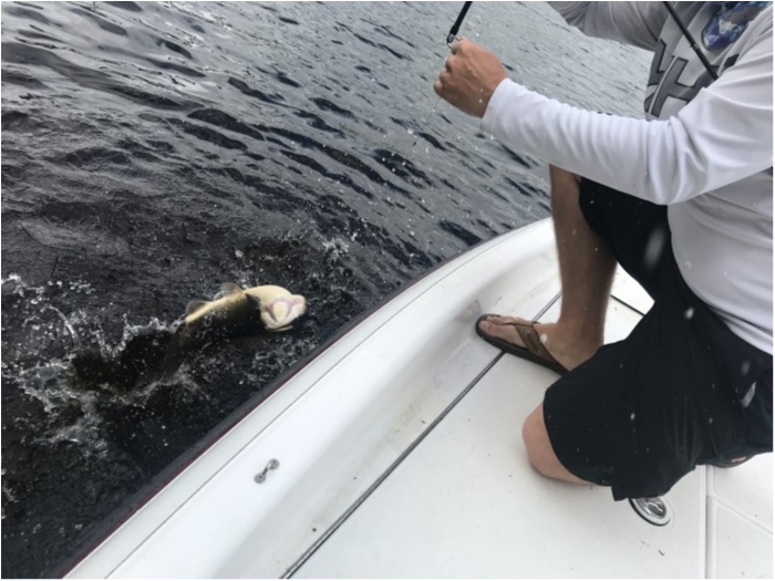 truth  ブログ写真 2020/02/22