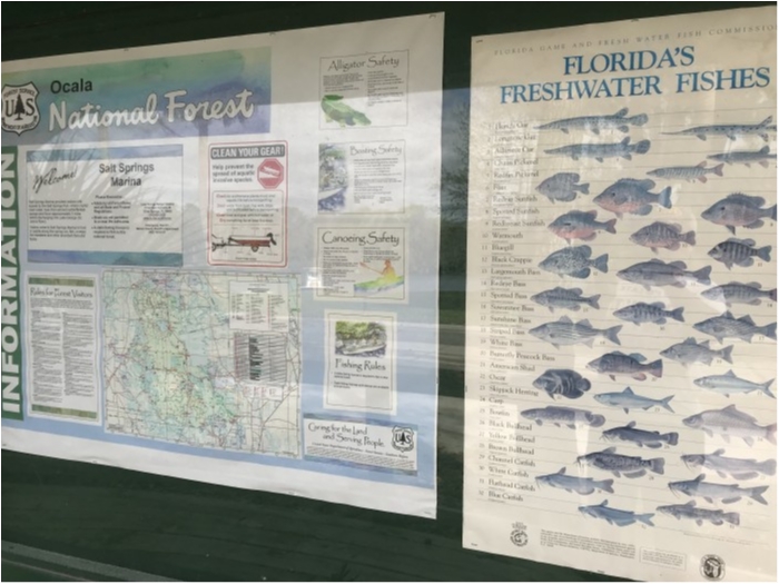 truth  ブログ写真 2020/02/22