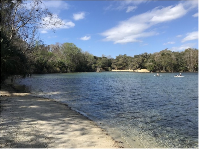 truth  ブログ写真 2020/02/22