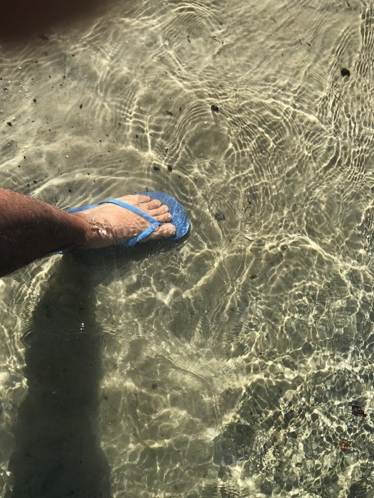 truth  ブログ写真 2020/02/22