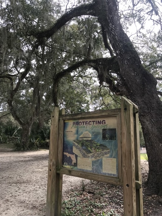 truth  ブログ写真 2020/02/22