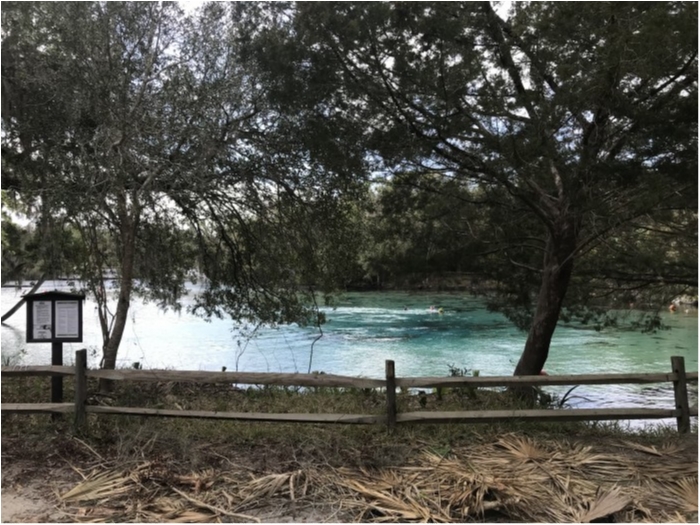 truth  ブログ写真 2020/02/22