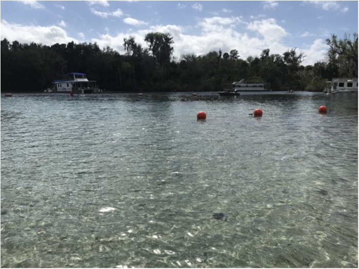 truth  ブログ写真 2020/02/22