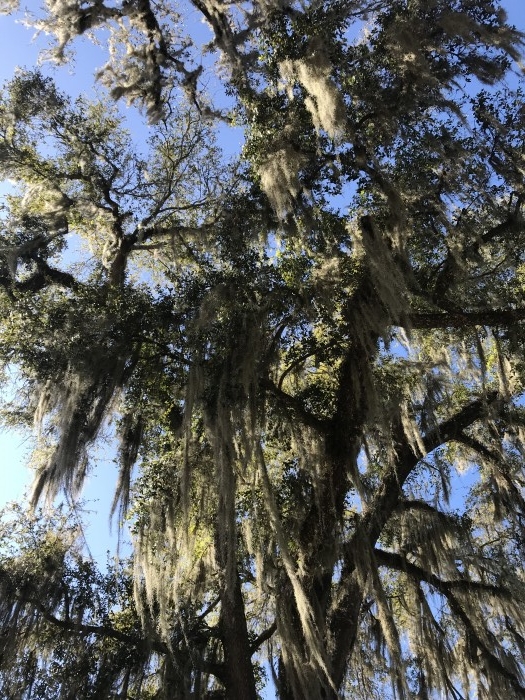 truth  ブログ写真 2020/02/22