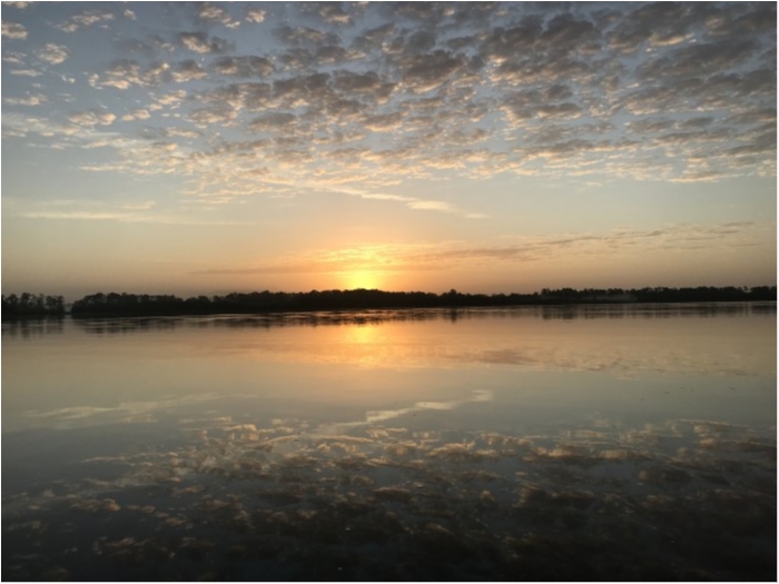 truth  ブログ写真 2020/02/22