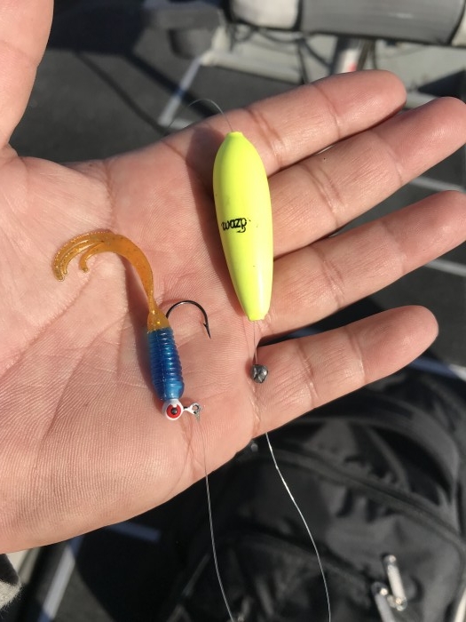 truth  ブログ写真 2020/02/22