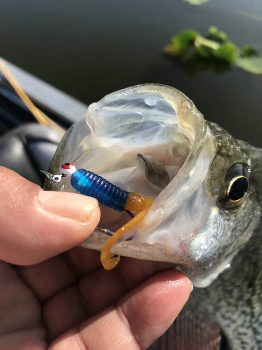 truth  ブログ写真 2020/02/22