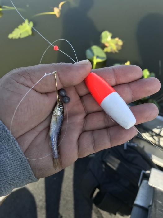 truth  ブログ写真 2020/02/22