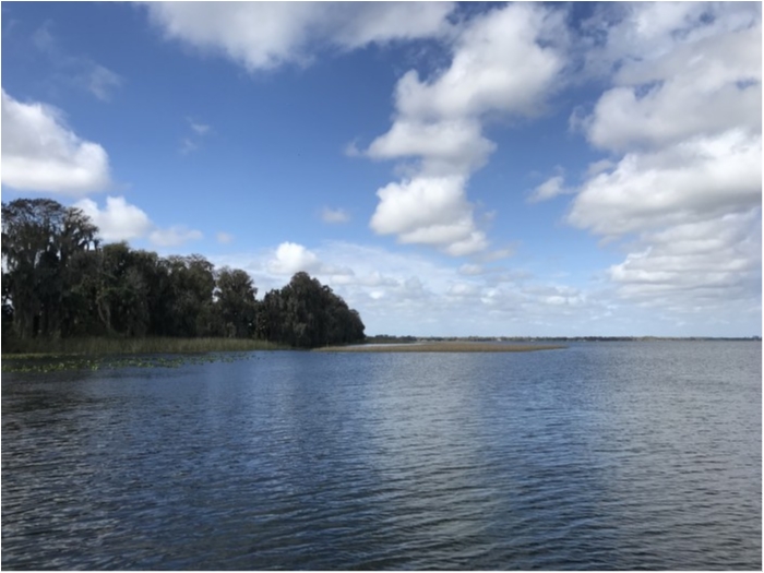 truth  ブログ写真 2020/02/22