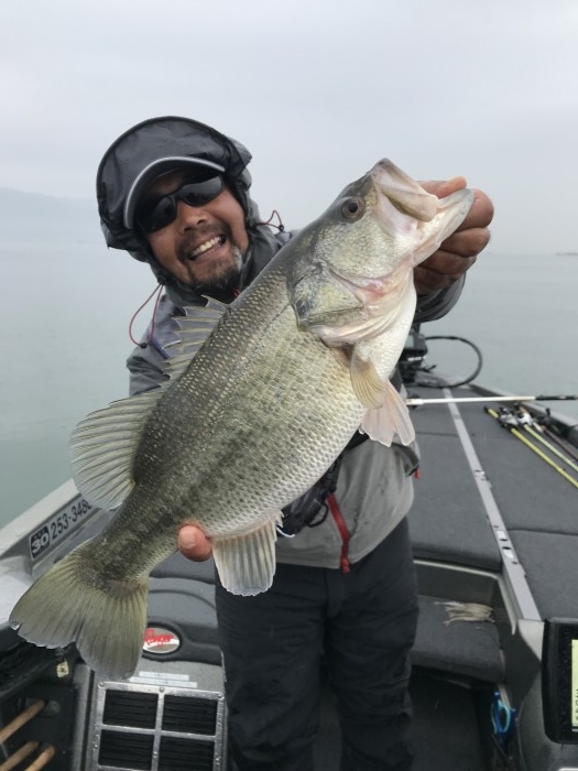 truth  ブログ写真 2020/02/23